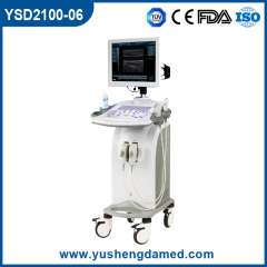 CE ISO نظام الموجات فوق الصوتية المعتمدة عربة (YSD2100-06)