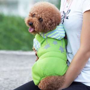 Dog clothes winter dress thick pet dress puppy four feet clothing Teddy Bears Boss US clothing