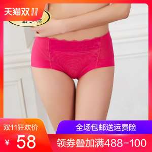 Diztie / Dai Zhi Di middle waist underwear briefs | hip abdomen sexy lace panties C45502