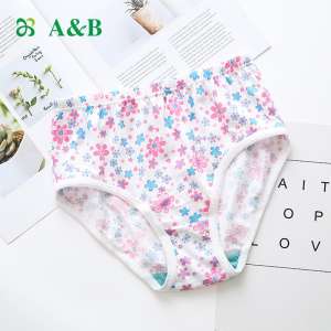 AB underwear | counter genuine | cotton underwear | students | girls briefs | children underwear and more equipment 3082